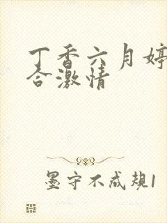 丁香六月婷婷综合激情