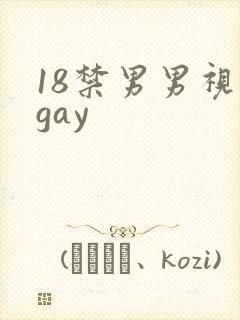 18禁男男视频gay