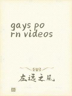 gays porn videos
