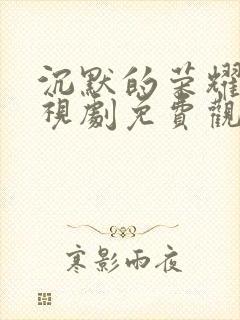 沉默的荣耀 电视剧免费观看全集高清