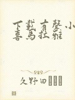下载有声小说 喜马拉雅封面