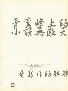 青鸾峰上的全部小说无敌天命