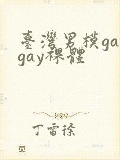 台湾男模gaygay裸体