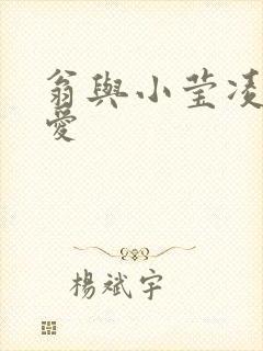 翁与小莹凌晨欢爱封面