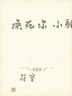 操死你 小骚货