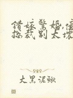 错嫁惊婚,亿万总裁别太坏封面