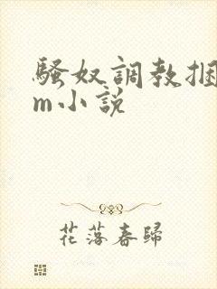 骚奴调教捆绑sm小说