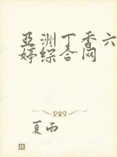 亚洲丁香六月婷婷综合网
