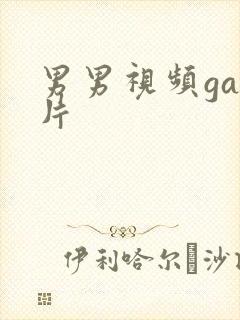 男男视频gay片