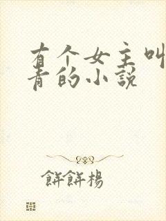 有个女主叫什么青的小说