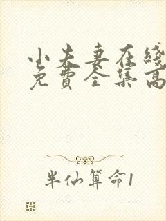 小夫妻在线观看免费全集高清完整封面