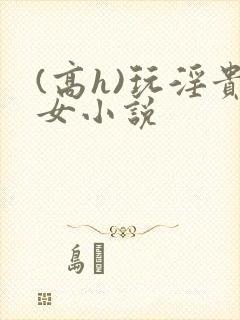 (高h)玩淫贵女小说