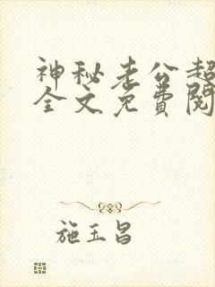 神秘老公超给力全文免费阅读