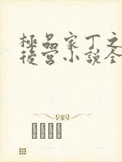 极品家丁之风流后宫小说全文阅读