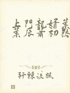 上门龙婿叶辰 叶辰萧初然