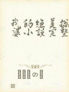我的绝美总裁老婆小说完整版