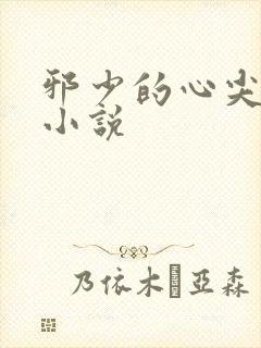 邪少的心尖宠儿小说