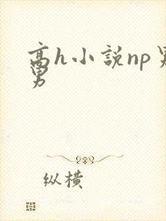 高h小说np男男
