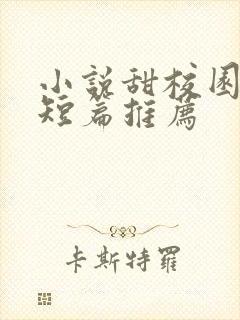 小说甜校园言情短篇推荐