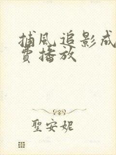 捕风追影成龙免费播放