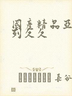 国产精品亚洲系列久久