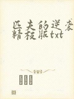 匹夫的逆袭完整精校版txt