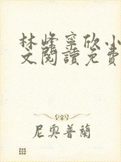 林峰宁欣小说全文阅读免费阅读封面