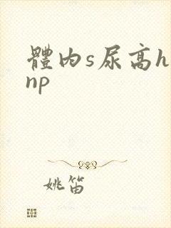 体内s尿高h文np