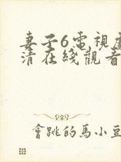 妻子6电视剧高清在线观看封面