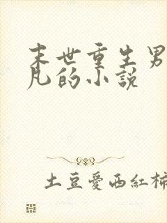 末世重生男主叶凡的小说