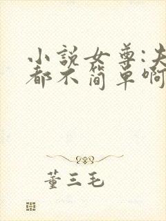 小说女尊:夫君都不简单啊完整版封面