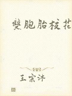 双胞胎校花小说封面