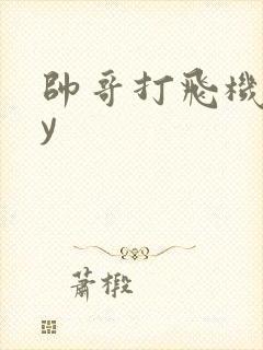 帅哥打飞机gay