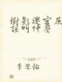 书籍封面
