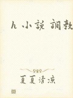 h 小说 调教