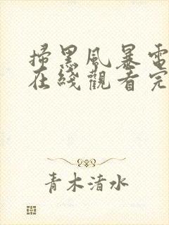 扫黑风暴电视剧在线观看完整版
