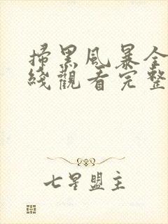 扫黑风暴全集在线观看完整版28集