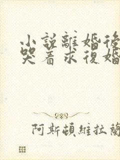 小说离婚后前夫哭着求复婚在线观看封面