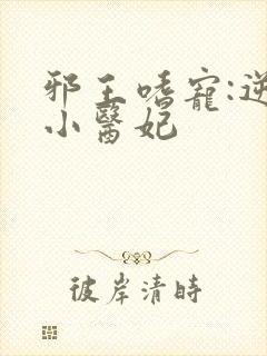邪王嗜宠:逆天小医妃