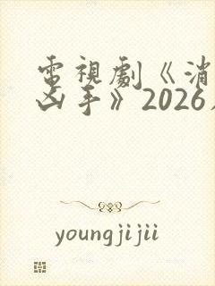 电视剧《消失的凶手》2026在线观看