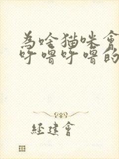 为啥猫咪会发出呼噜呼噜的声音