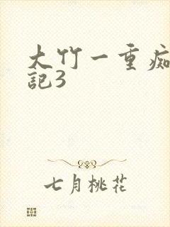 大竹一重痴汉日记3封面