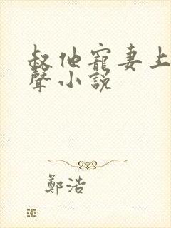 叔他宠妻上瘾有声小说封面