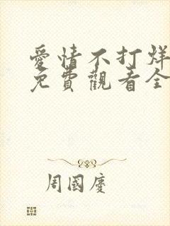 爱情不打烊短剧免费观看全集封面
