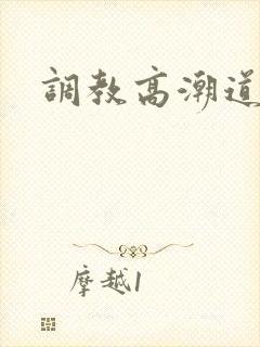 调教高潮道具文