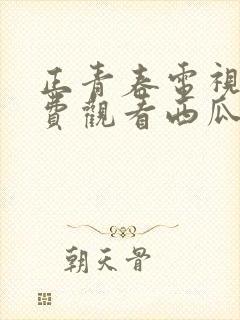 正青春电视剧免费观看西瓜