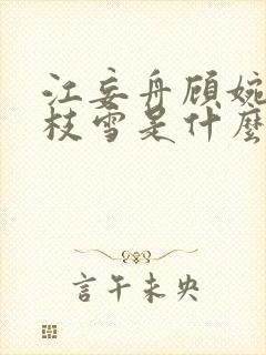 江妄舟顾婉禾宋枝雪是什么小说