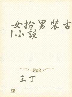 女扮男装古代gl小说