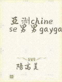 亚洲chinese男男gaygay网站