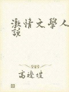 激情文学人妻小说封面